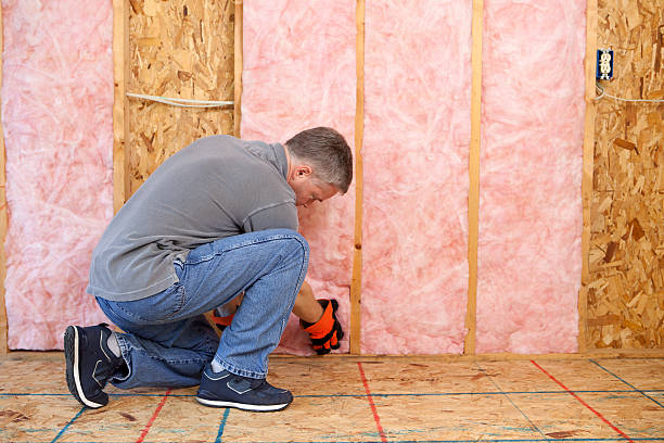 Best Insulation for Specific Applications in Selmont West Selmont, AL