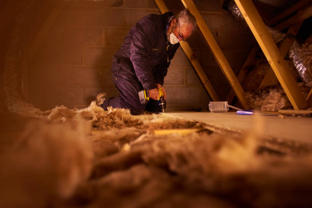 Best Types of Insulation in Selmont West Selmont, AL